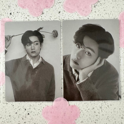 (BTS) V - MONOCHROME OFFICIAL PC