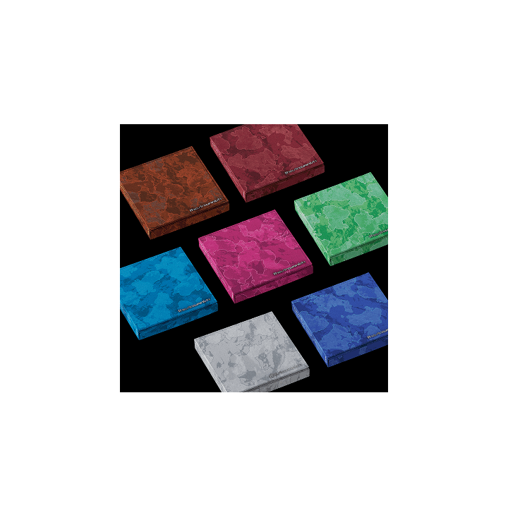 ⭐️ ENHYPEN - THE SIN : VANISH  (FUGITIVES Ver.)